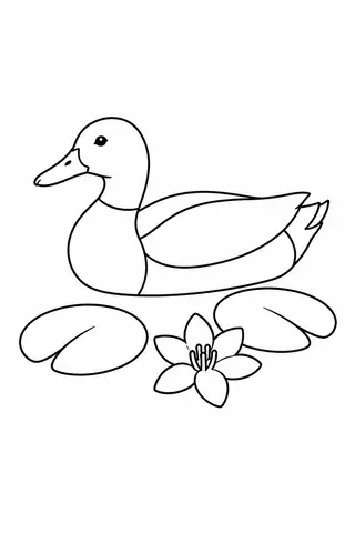 Duck beside Water Lilies
