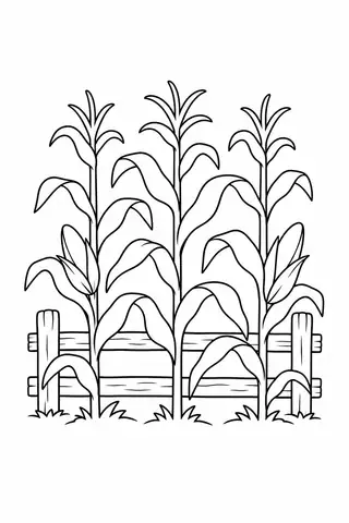 Corn Stalks beside a Fence