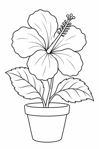 Hibiscus Garden Corner