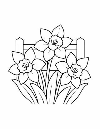 Daffodils beside a Fence