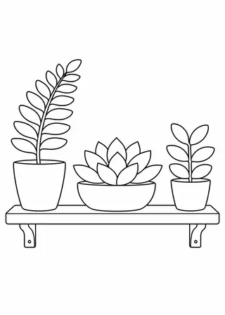 Fern and Succulent Shelf