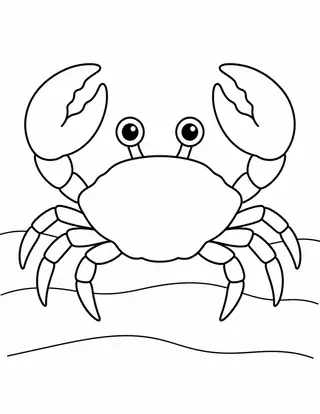 Crab on the Sandy Seabed
