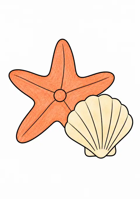 Starfish beside a Shell color example