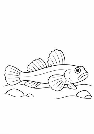 Goby Resting on Sand