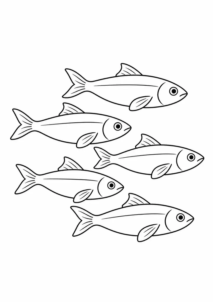 Small School of Sardines line art