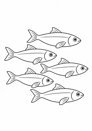 Small School of Sardines