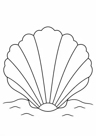 Scallop Shell on Sand