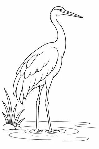 Crane at the Water's Edge