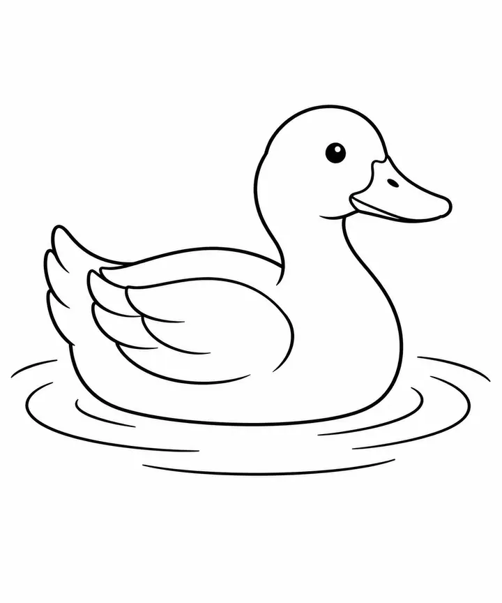 Duck Floating on Water line art