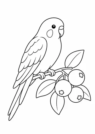 Parakeet beside Berries