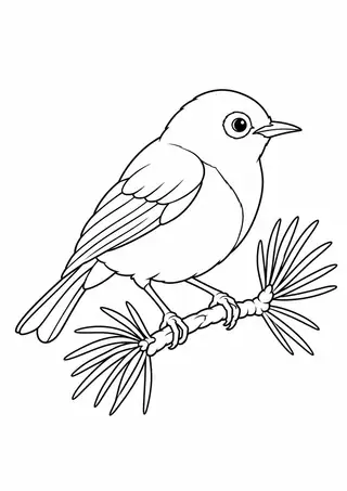 White Eye on a Pine Branch