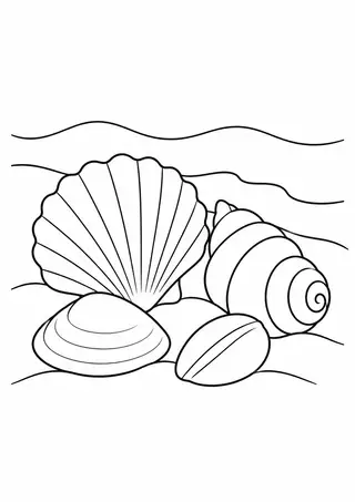 Shells at the Shoreline