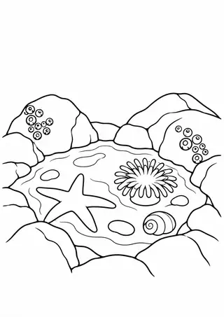 Rocky Tide Pool