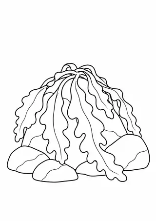 Seaweed on Coastal Rocks