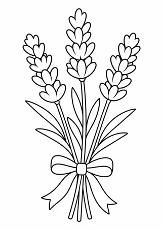 Bundle of Lavender Tied with a Ribbon