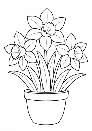 Potted Daffodils