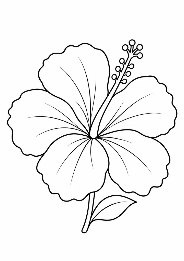 Hibiscus Bloom line art