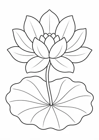 Lotus Flower and Leaf