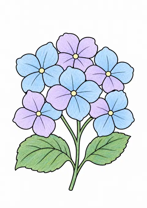 Hydrangea Cluster color example