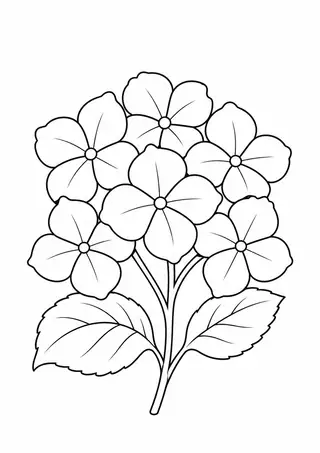 Hydrangea Cluster