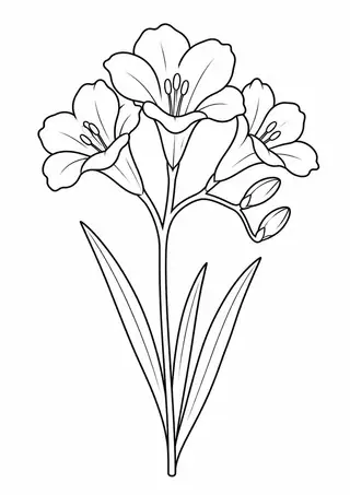 Freesia Stem