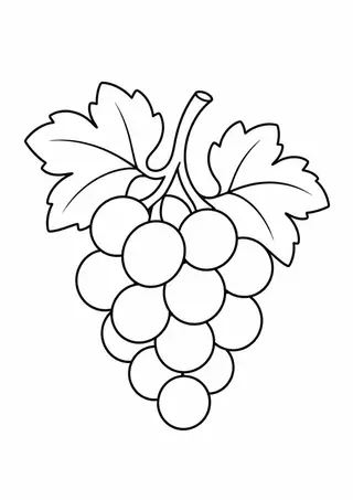 Bunch of Grapes