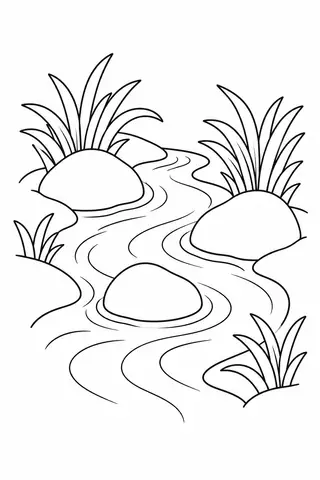 Forest Stream around Stones
