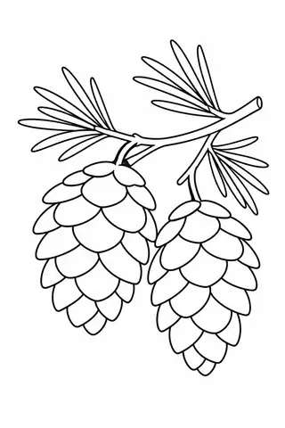 Pinecones on a Branch