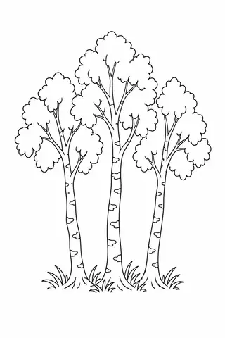 Row of Birch Trunks