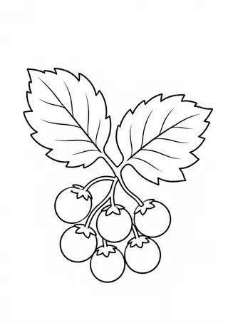 Berries beneath Forest Leaves