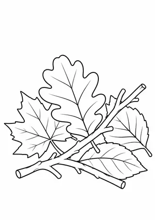 Twigs on a Leafy Forest Floor