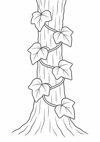 Ivy Climbing a Tree Trunk
