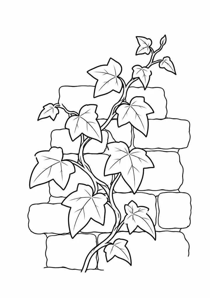 Climbing Vine on a Wall line art