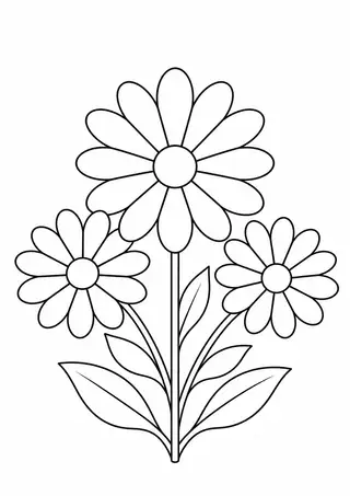 Radial Petal Shapes