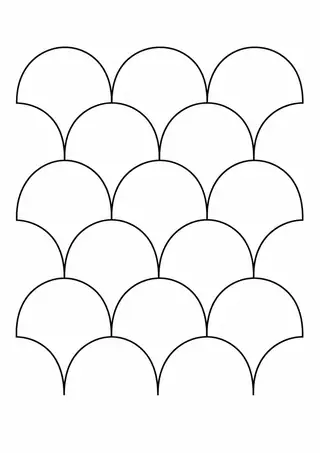 Large Scallop Pattern