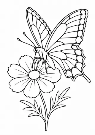 Swallowtail on a Flower
