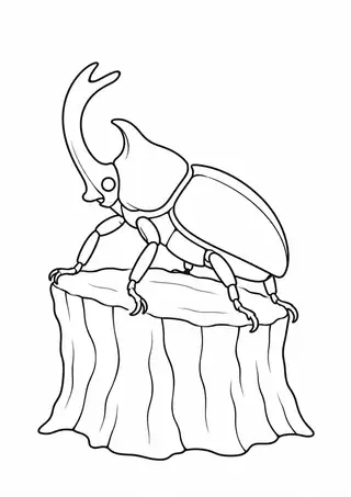 Rhinoceros Beetle on a Trunk