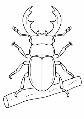 Stag Beetle on a Branch