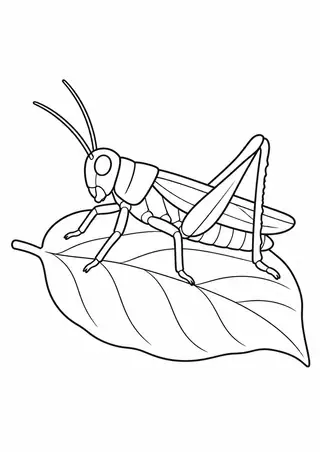 Grasshopper on a Stem