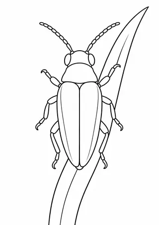 Jewel Beetle on Grass