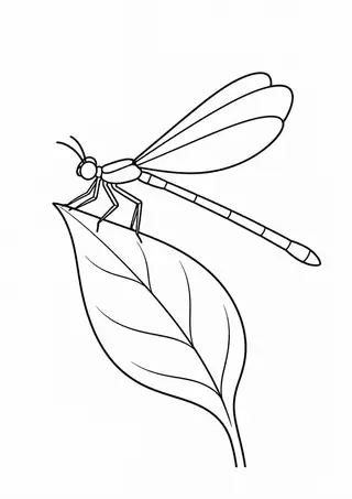 Damselfly on a Leaf Tip