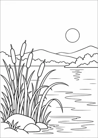 Cattails beside a Lake