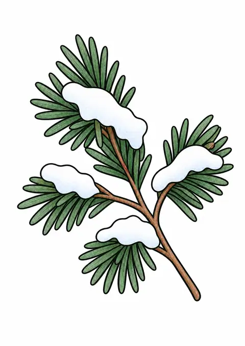 Snow Covered Pine Branch color example