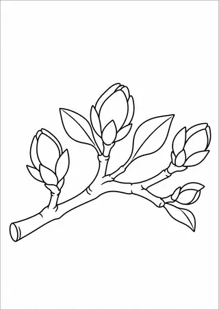 Budding Branch in Spring