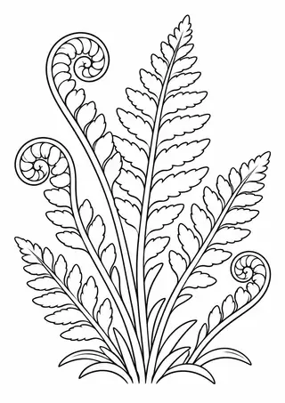 Young Fern Fronds