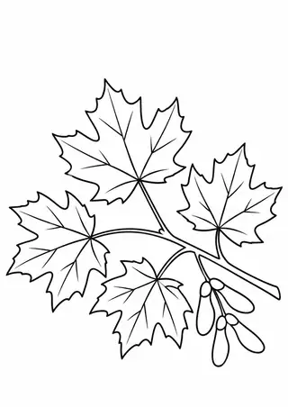 Autumn Maple Branch