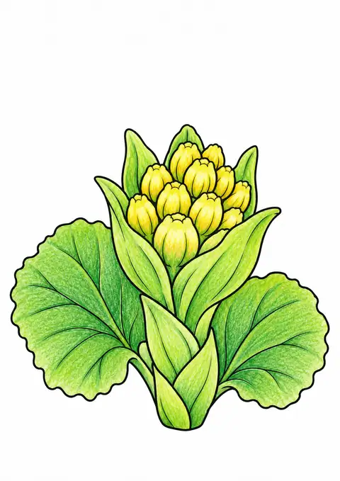 Butterbur Sprout in Spring color example