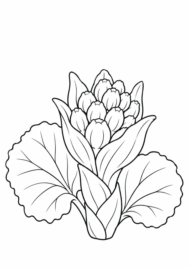 Butterbur Sprout in Spring line art
