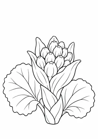 Butterbur Sprout in Spring