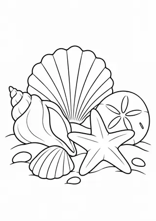 Summer Shells at the Shore